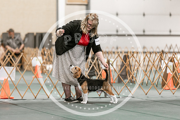 2024 4-H Dog Show SATURDAY-7276