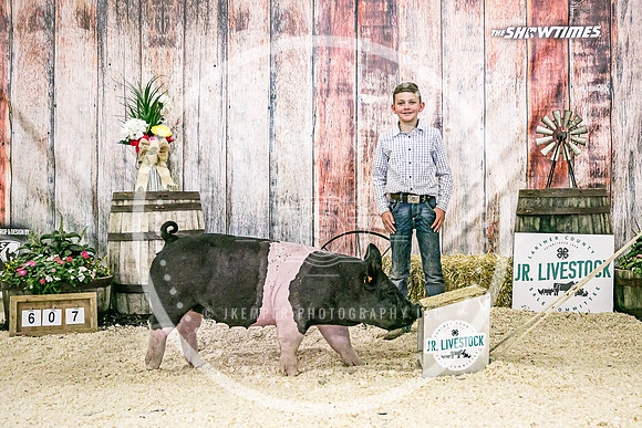 Swine Backdrop-8283