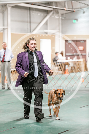 2024 4-H Dog Show SATURDAY-7292