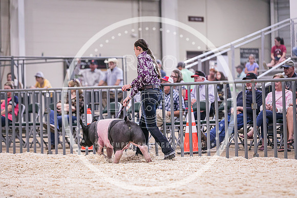 Swine Market-7247