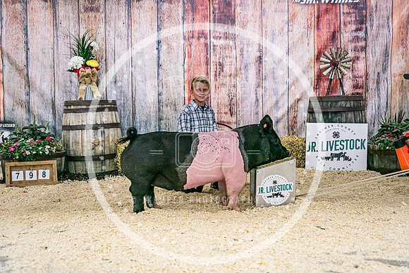 Swine Backdrop-8234
