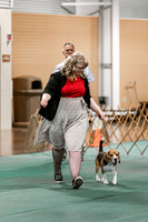 2024 4-H Dog Show SATURDAY-7271