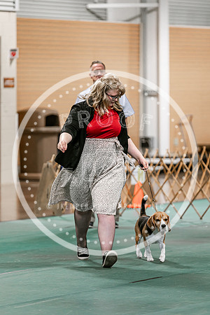 2024 4-H Dog Show SATURDAY-7271