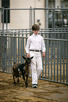 Dairy Goat Classes