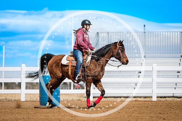 2025 4-H Horse-2978