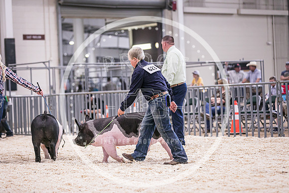 Swine Market-7245