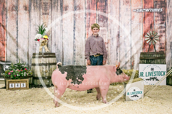 Swine Backdrop-8292