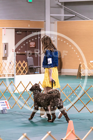 Dog Obedience 2021-5459