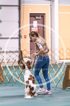 Dog Obedience 2021-5488
