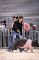 Swine Showmanship-6032
