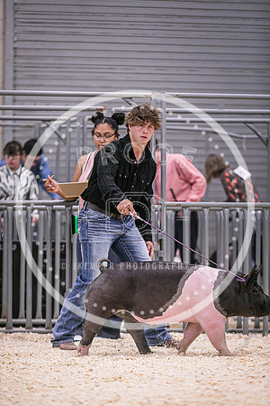 Swine Showmanship-6032