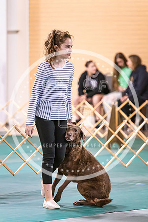 Dog Obedience 2021-5476