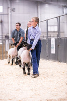 Market Lambs-4792