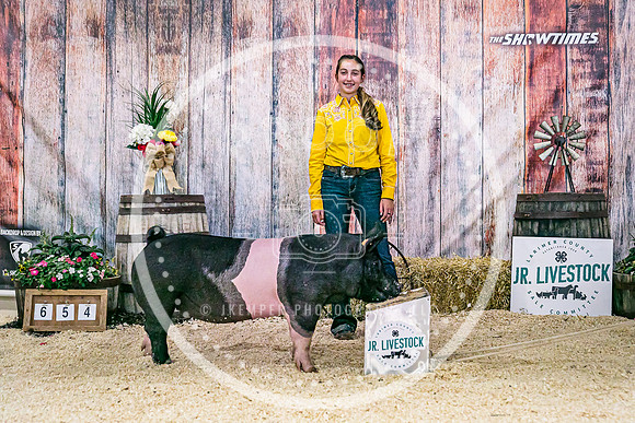 Swine Backdrop-8146