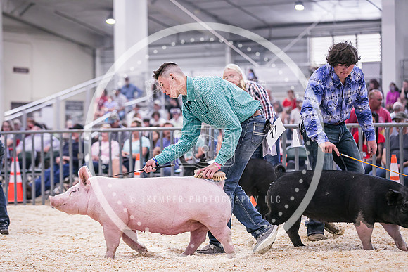 Swine Market-7237