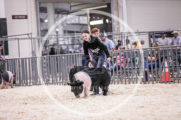 Swine Market-7231