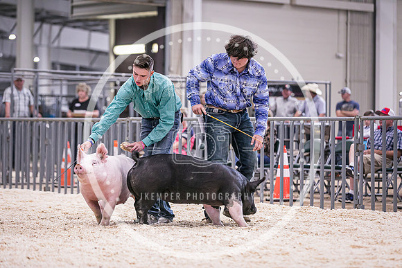 Swine Market-7223