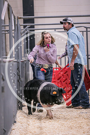 Swine Market-7216