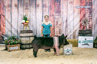 Swine Backdrop-8068