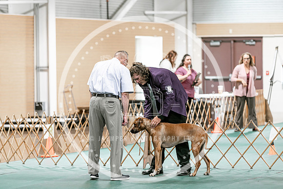 2024 4-H Dog Show SATURDAY-7288