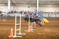2024 4-H Dog Show AGILITY-9