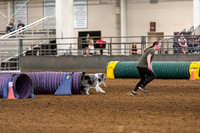 2024 4-H Dog Show AGILITY-20