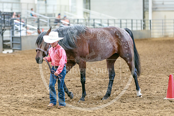 2026 Fair-8115