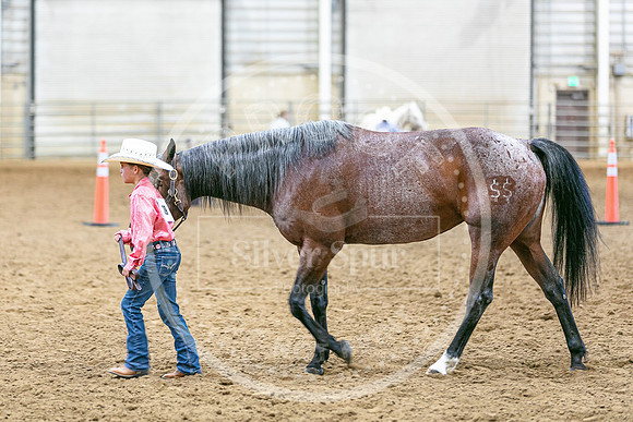 2026 Fair-8114