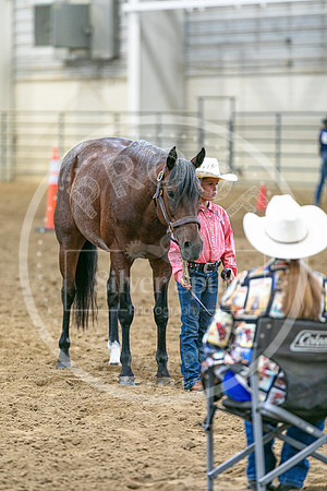 2026 Fair-8111