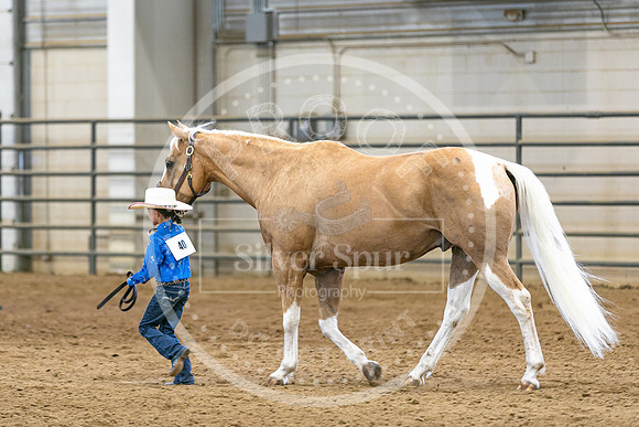 2026 Fair-8121
