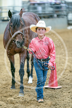 2026 Fair-8118