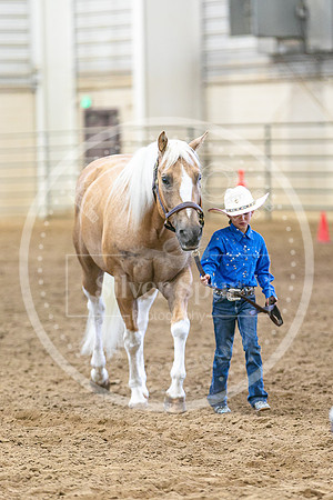 2026 Fair-8123