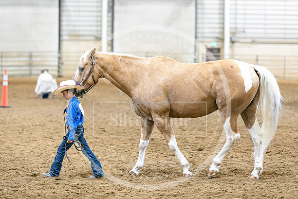 2026 Fair-8127