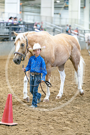 2026 Fair-8128
