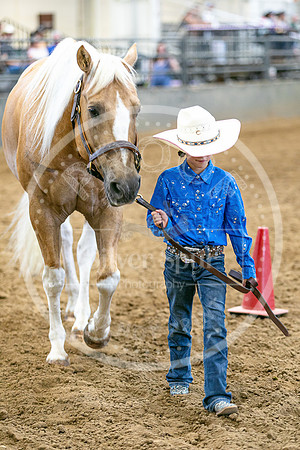 2026 Fair-8131