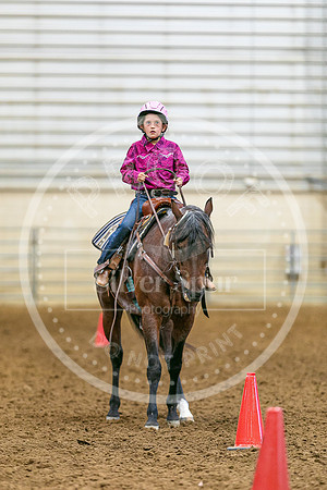 2026 Fair-8182
