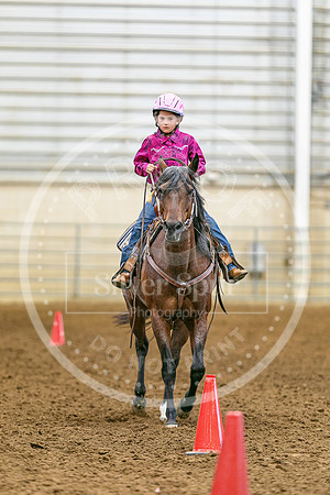 2026 Fair-8179