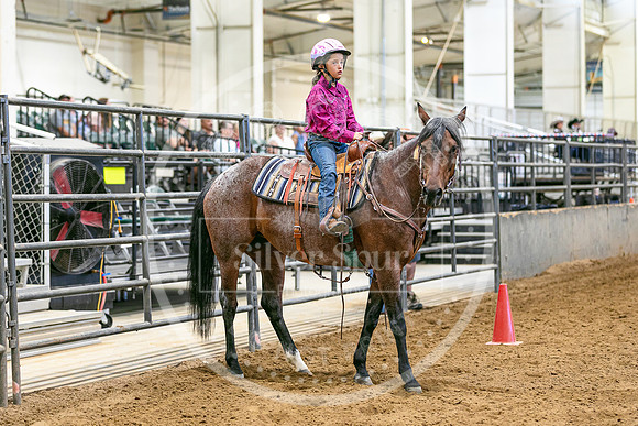 2026 Fair-8188
