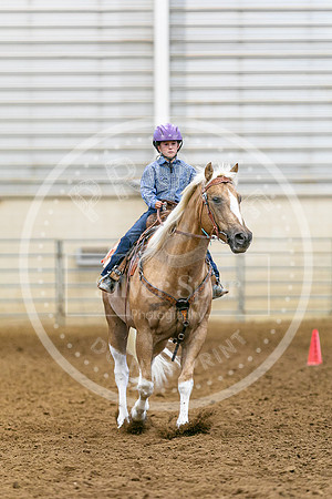 2026 Fair-8202