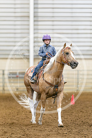 2026 Fair-8203