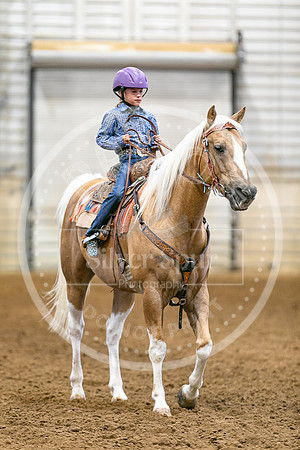 2026 Fair-8208