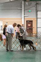 2024 4-H Dog Show SATURDAY-7244