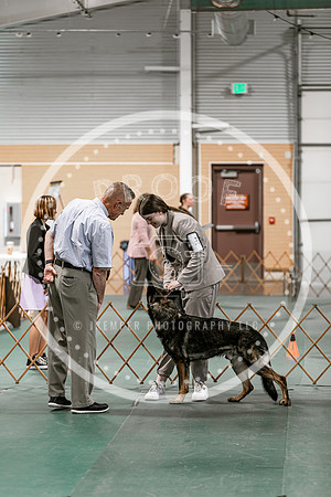 2024 4-H Dog Show SATURDAY-7244
