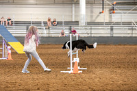 2024 4-H Dog Show AGILITY-6