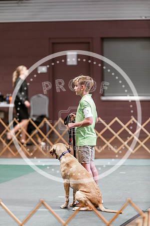 2024 4-H Dog Show SATURDAY-7248