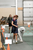 2024 4-H Dog Show SATURDAY-7269