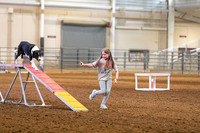 2024 4-H Dog Show AGILITY-5