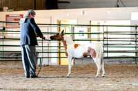 2023 Rocky Mountain Classic-8824