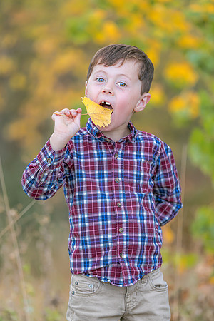 2026 Stoltze Family Session-1227