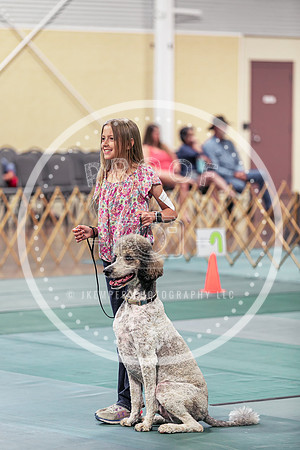2024 4-H Dog Show SATURDAY-7311